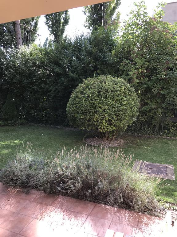 Apartment Jane Senec Εξωτερικό φωτογραφία
